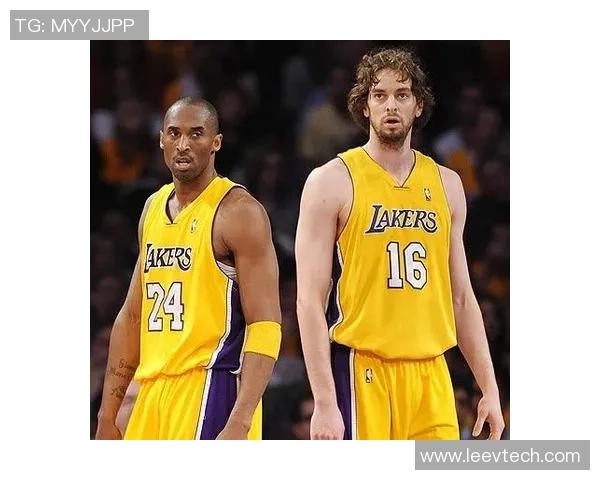 深入解析当今足球巨星表现与影响力，谁是最具统治力的球员？