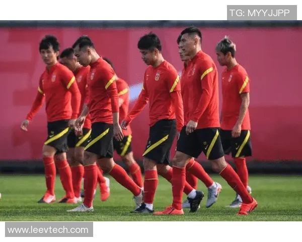 芬兰足球明星崛起之路从青训到欧洲赛场的光辉历程